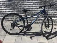 Dual Sport 2-Trek Bike