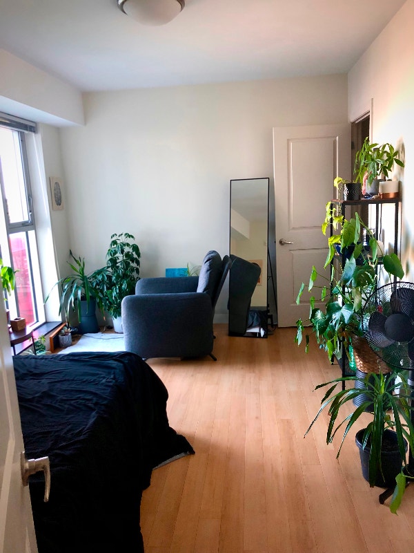 1 Bedroom Available in 3 Bedrooms Apt Downtown Halifax Long Term