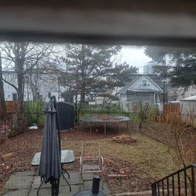 back yard umbrella, View more