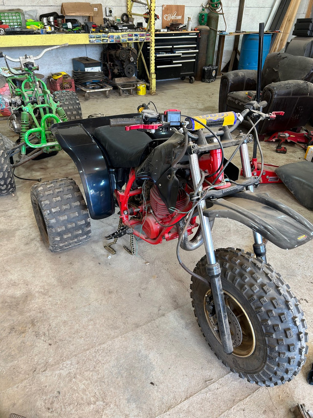 1984 ATC 250r in ATVs in Moncton - Image 4