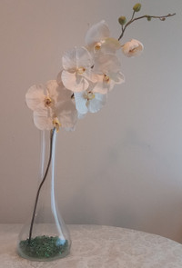 Giant centre-piece glass vase with white silk orchid