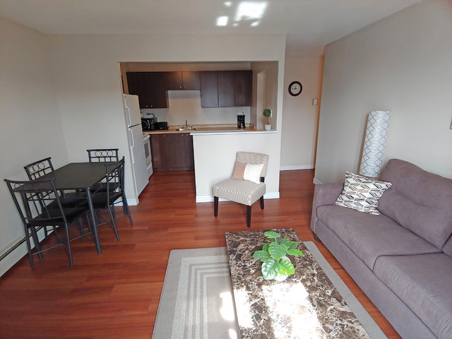 Byward Market Fully Furnished All Inclusive 2 Bedroom Mar.1 in Short Term Rentals in Ottawa - Image 2