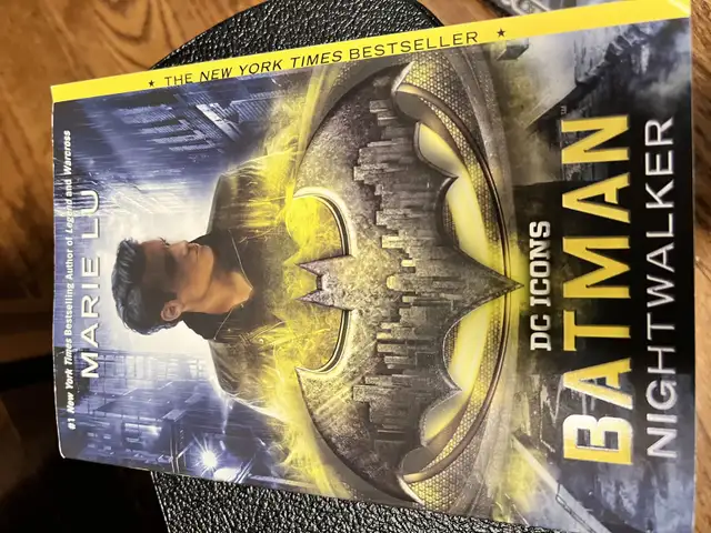 Batman Nightwalker in Fiction in City of Toronto - Image 2