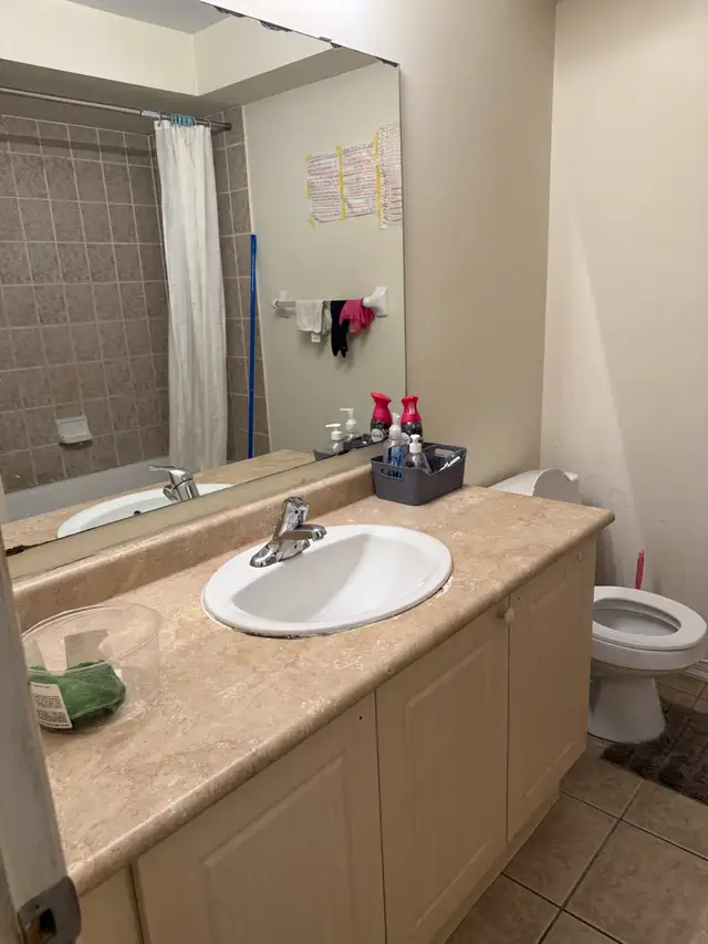 1 room available! York University-village green in Room Rentals & Roommates in City of Toronto - Image 7