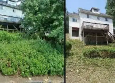 Property Cleaning and roofing, View more