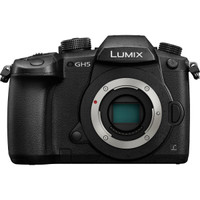 LUMIX GH5 with V LOG and Batteries 