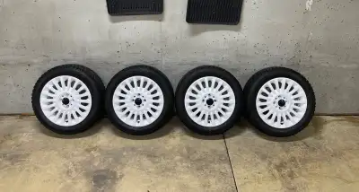 Selling OEM Fiat 500 15" Multispoke Rims - 4x98 Bolt Pattern - that were Professionally Powder Coate...