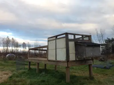 CHICKEN COOP SOLIDLY BUILT WITH TWO LEVEL RUN AND NESTING BOX, View more