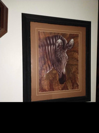 Zebra framed picture