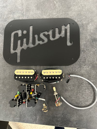 Gibson les Paul pickups 