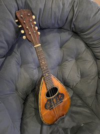 Rare american conservatory mandolin (1900)