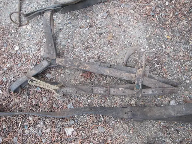 Vintage Sets Of Horse Harness in Arts & Collectibles in Regina - Image 5