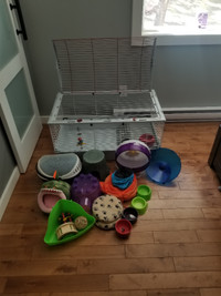 Medium-large rodent cage with accessories.