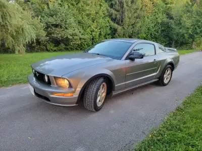 Ford Mustang GT, Excellent Condition, 2008, One Owner 2008 Ford Mustang GT One owner, excellent cond...