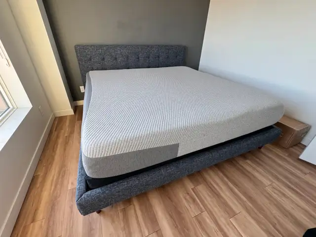 Article King Bed Frame, Casper King Mattress, and Box Spring | Beds ...