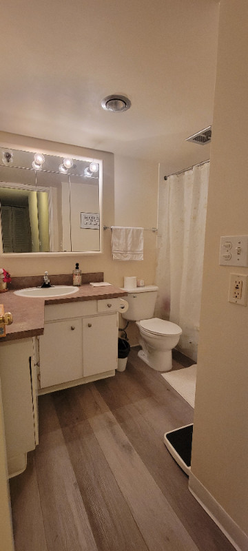 Looking for Female Roommate in Room Rentals & Roommates in North Shore - Image 3