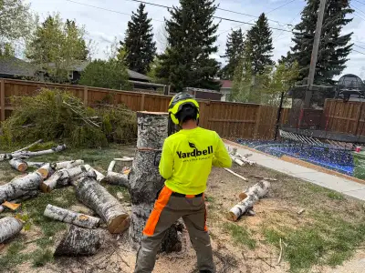 Looking for dependable and experienced tree care? We are dedicated to providing trustworthy, reliabl...