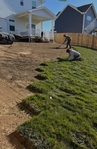 Sod/stone landscaping