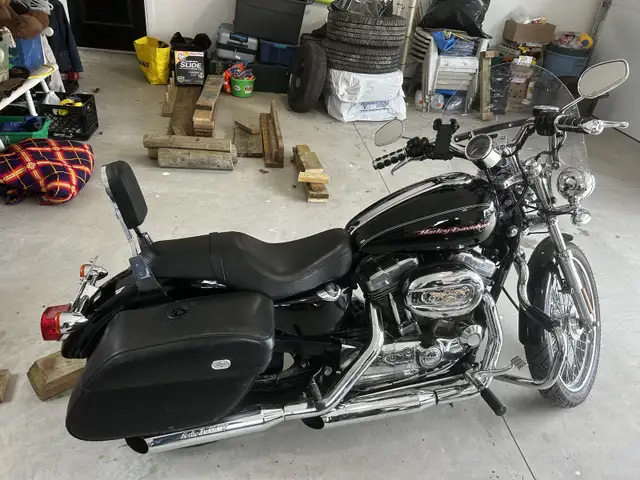 2007 Harley Davidson sportster in Street, Cruisers & Choppers in Oakville / Halton Region - Image 2