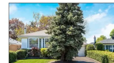 3 bedroom bungalow for rent from 1 September Near shoppers world. Less t an 1 min for bus service 3...