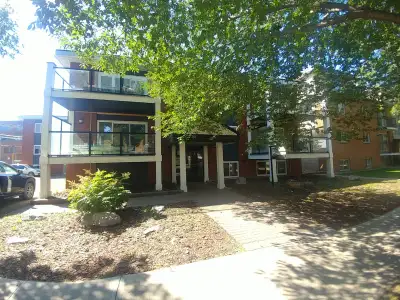 Whyte Avenue Apartment