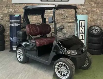 These are my 2023 ezgo lithium 2 seat options..I also have some 2020 two seat options and 4 seat mod...