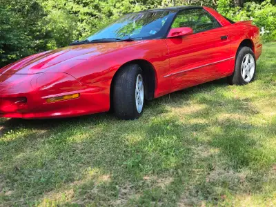 Mint Pontiac firebird ttop fully loaded including ice cold ac mint mint never seen snow or nasty wea...
