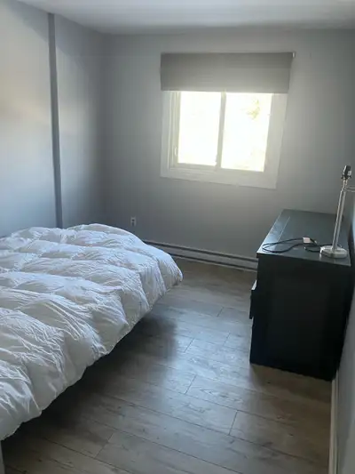 room for rent