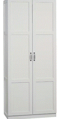 Sauder Woodworking Company 16-inch Deep Storage Cabinet in White in Bookcases & Shelving Units in Mississauga / Peel Region