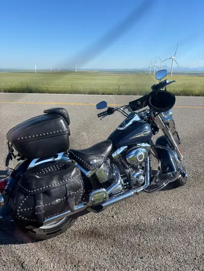 new tires needs nothing, Very comfortable to ride, has had rear wheel bearing done last year Few ext...