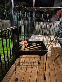 Bird cage and bird playground