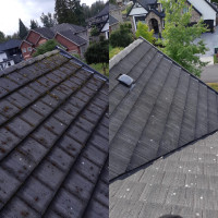 Gutter cleaning , Roof cleaning 