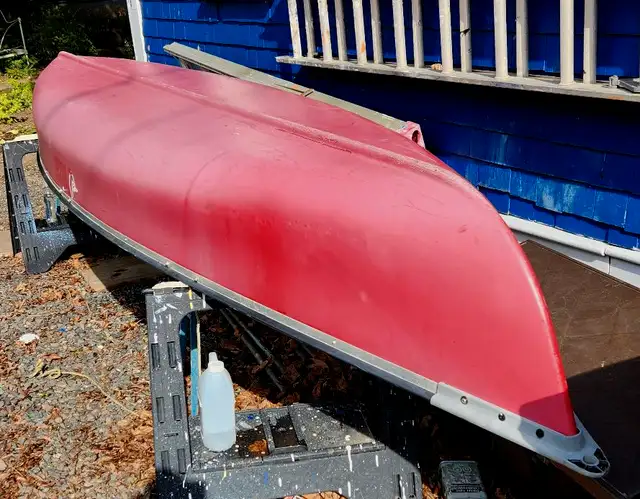 CANOE with PADDLES62864743798531122