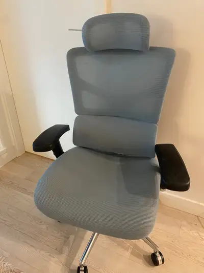 X-Chair (Premium Ergonomic Office Chair), View more