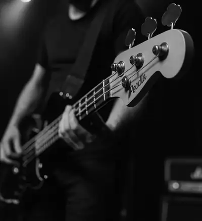 Bassist Wanted!!, View more