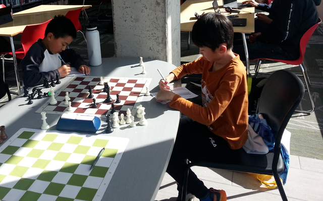 Experienced Chess Master/Teacher462792042574653444