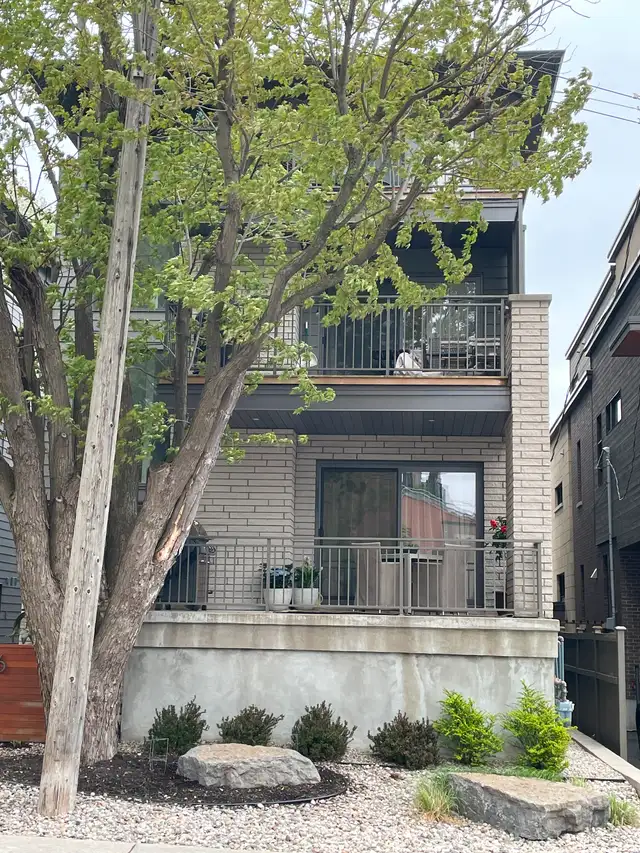 Chill Roommate Wanted for Westboro Condo (starting July 1st) in Room Rentals & Roommates in Ottawa - Image 2