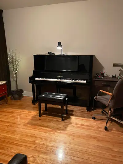 Cours de piano rue de Mentana - Bienvenue aux adultes!!, View more