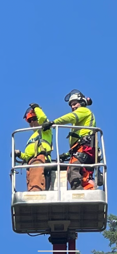 Hiring Arborist Grounds Crew, View more