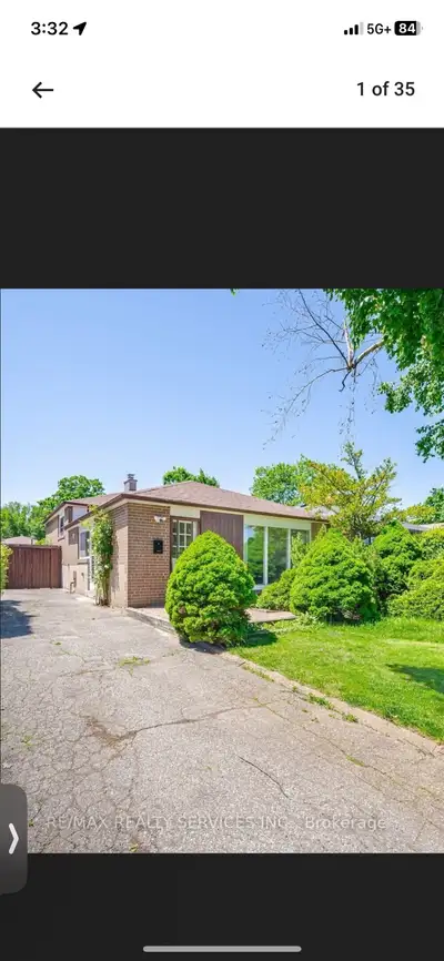 Studio basment available immediately