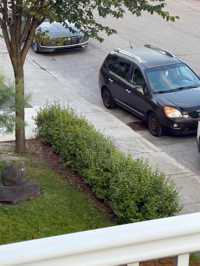 Kia Rondo — photo 4