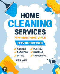House Cleaner Available       Sarnia and surrounding areas