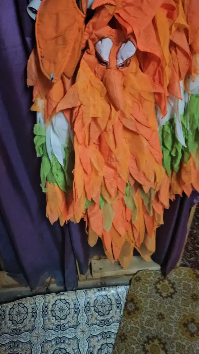 Costume Oiseau, medium in Costumes in Sherbrooke - Image 11