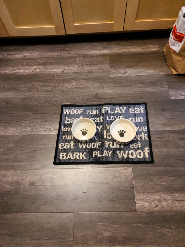 Pet Feeding Bowls - Stoneware and Non-Slip Mat in Accessories in Kamloops