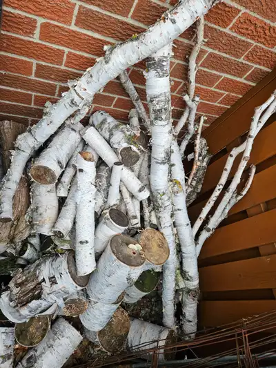 free firewood, View more