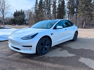 2021 Tesla Model 3 White Standard Range Plus RWD