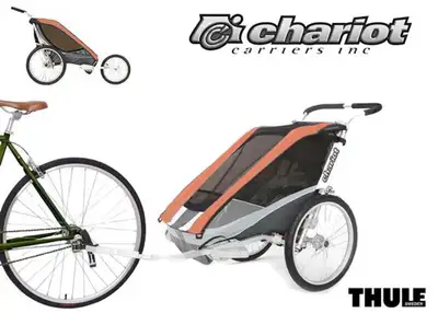 Trailer & Stroller Combo ~ Cougar 1, View more