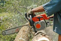 Tree cutting services