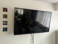 55” TV with Mount