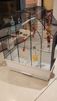 Bird cage $60 includes 